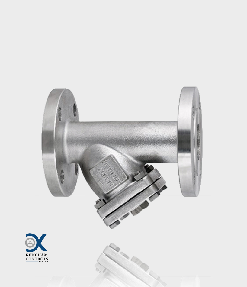Y Type Strainer
